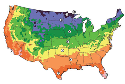 Find Your Hardiness Zone