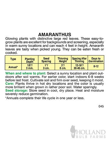 Amaranth Red - 75585