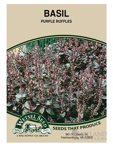 Basil Purple Ruffles - 75686