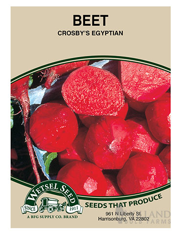 Beet Early Crosby Egyptian  - 75677