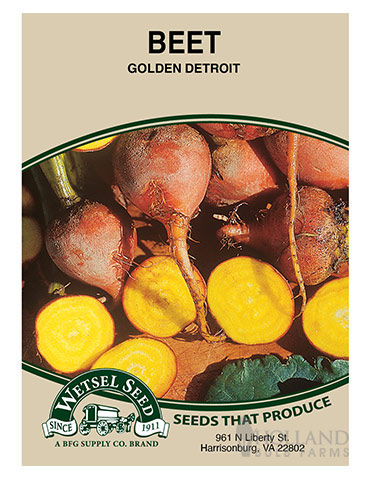 Beet Golden Detroit - 75560