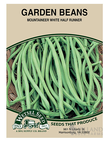 Bush Bean Mountaineer White Half Runner 