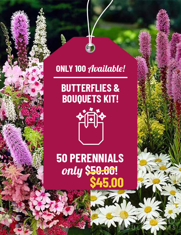 Butterflies and Bouquets Garden Kit
