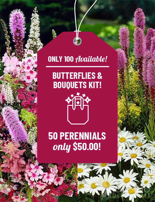 Butterflies and Bouquets Garden Kit
