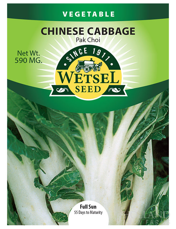 Cabbage Pak Choi