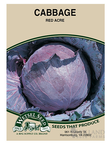 Cabbage Red Acre 