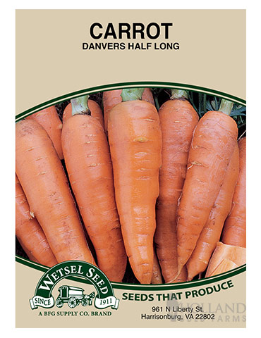 Carrot Danvers Half Long - 75528