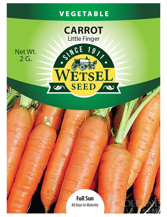 Carrot Little Finger