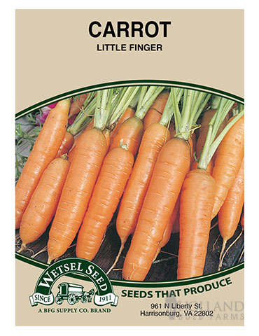 Carrot Little Finger 