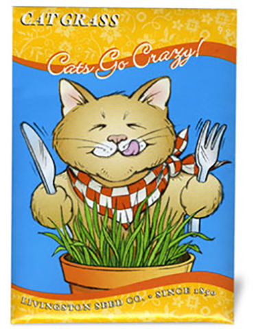 Cat Grass 