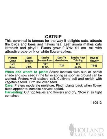Catnip - 75684