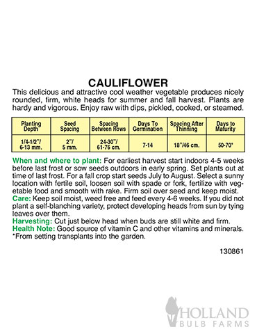 Cauliflower Snow Crown - 75579