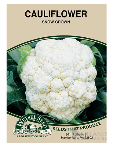 Cauliflower Snow Crown 
