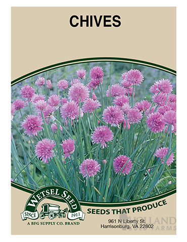 Chives - 75506