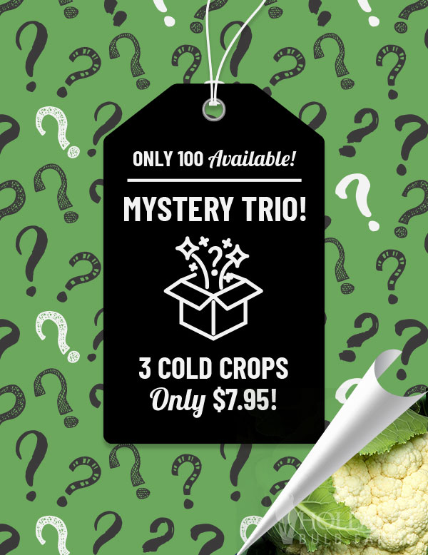 Cold Crop Vegetable Mystery Pack Trio