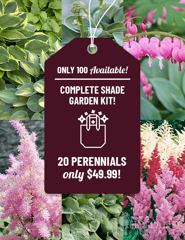 Complete Perennial Shade Garden Kit