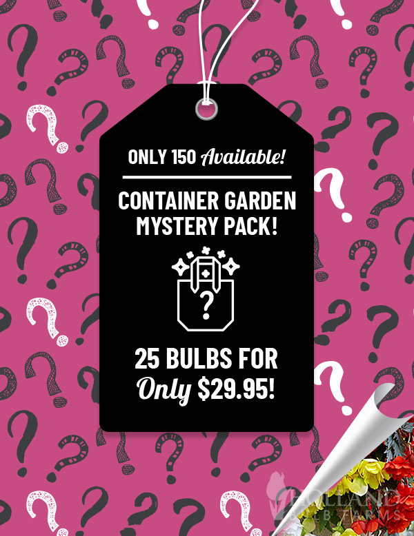 Container Garden Mystery Pack
