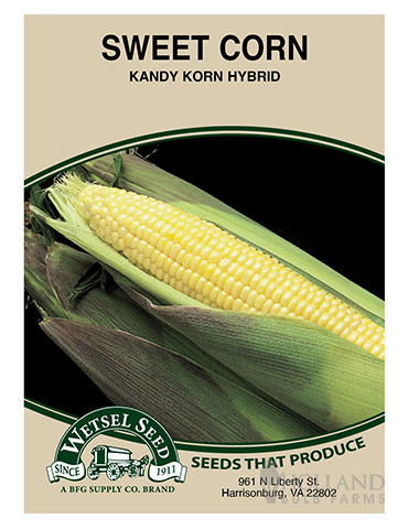 Corn Kandy Korn EH 