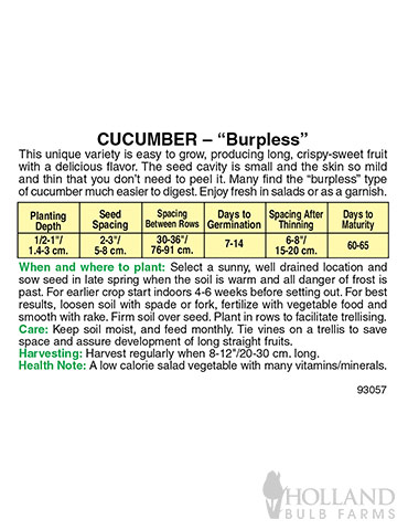 Cucumber Burpless - 75531