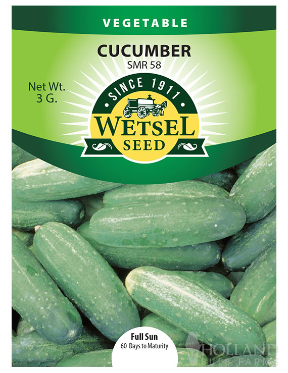 Cucumber Early Green Cluster
