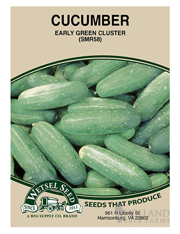 Cucumber Early Green Cluster 