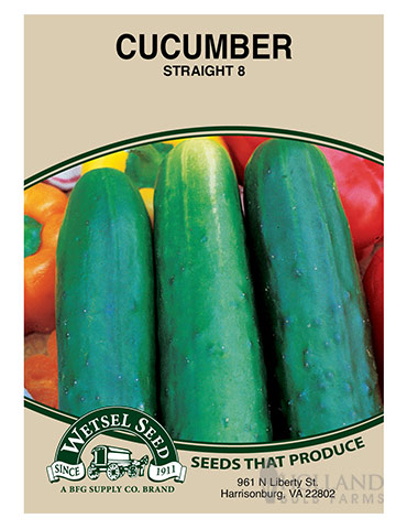 Cucumber Straight Eight 