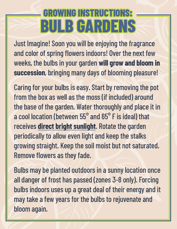 Bulb Garden Growing Instructions