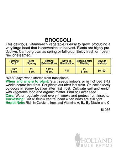 Broccoli Green Sprouting Calabrese - 75526