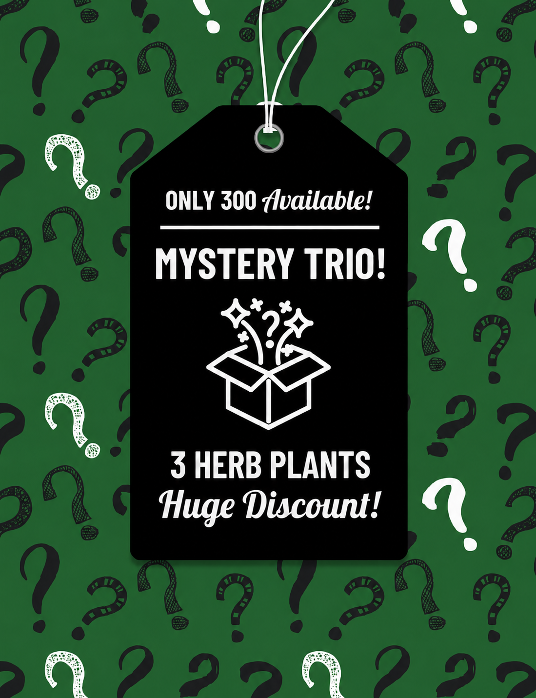 Herb Mystery Pack Trio