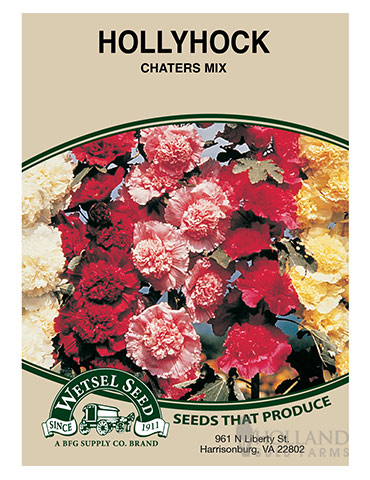 Hollyhock Chaters Double Mix 