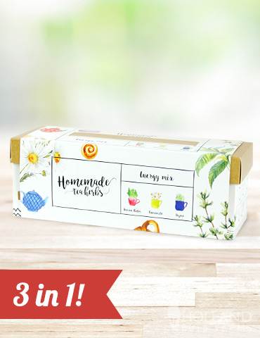 Homemade Herb Kit- Energy Mix Tea Herbs - 75726