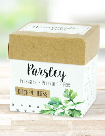 Homemade Herb Kit- Kitchen Parsley - 75710