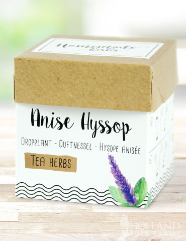 Homemade Herb Kit- Tea Anise Hyssop - 75717