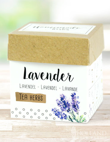 Homemade Herb Kit- Tea Lavender lavender herb seed kit, windowsill grow kit, herb garden kit, growing herbs indoors, herb starting kit, lavender for tea, using lavender for tea