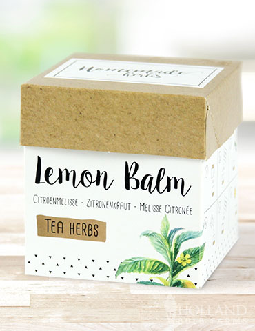 Homemade Herb Kit- Tea Lemon Balm indoor herb kit, indoor herb garden, lemon balm, lemon balm seeds, lemon balm herbs, melissa officinalis, lemon balm plant uses, growing lemon balm in pots