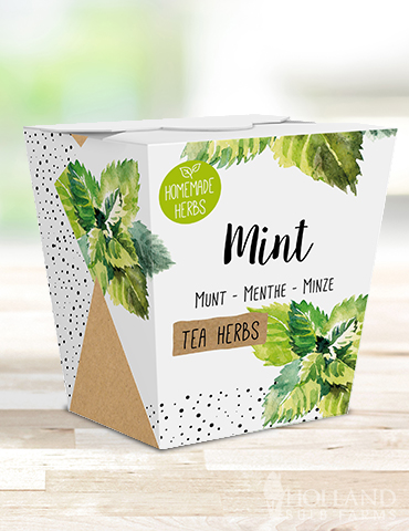 Homemade Herb Kit- Tea Mint