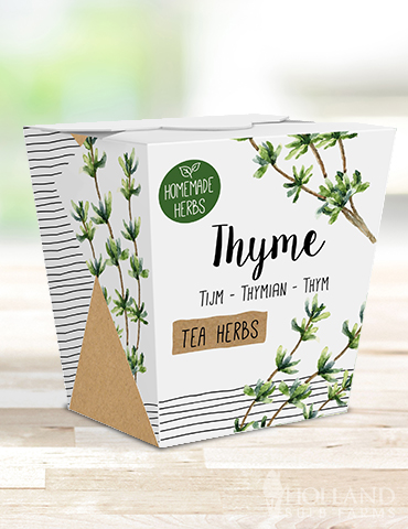 Homemade Herb Kit- Tea Thyme