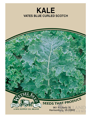 Kale Vates Blue Curled Scotch 