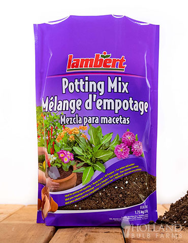 Lambert All Purpose Potting Soil