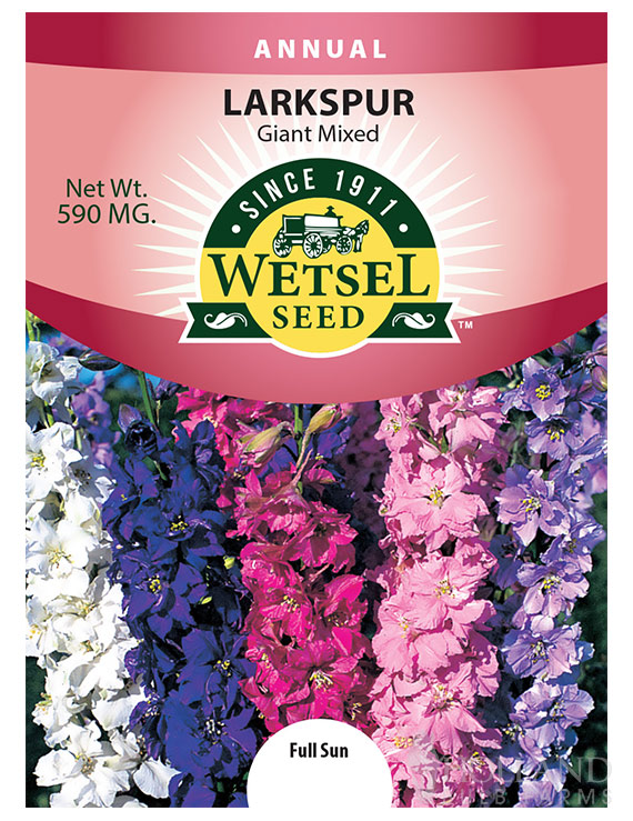 Larkspur Giant Imperial Mix