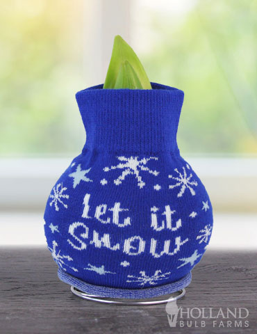 Let It Snow Sweater Amaryllis - 92406