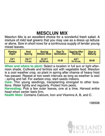 Lettuce Mesclun Mix - 75548