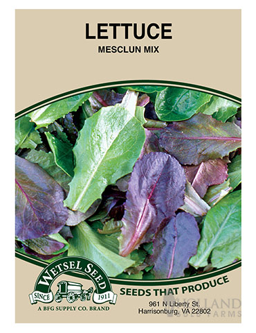 Lettuce Mesclun Mix 