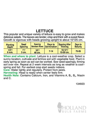 Lettuce Parris Island Romaine - 75541