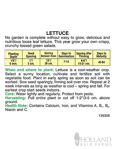Lettuce Salad Bowl - 75543