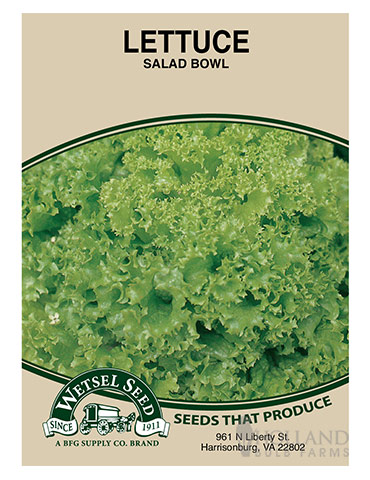 Lettuce Salad Bowl 