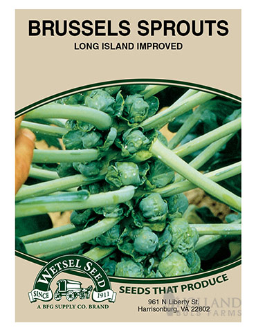 Brussel Sprouts Long Island 