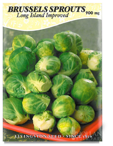 Long Island Brussels Sprouts Seeds 