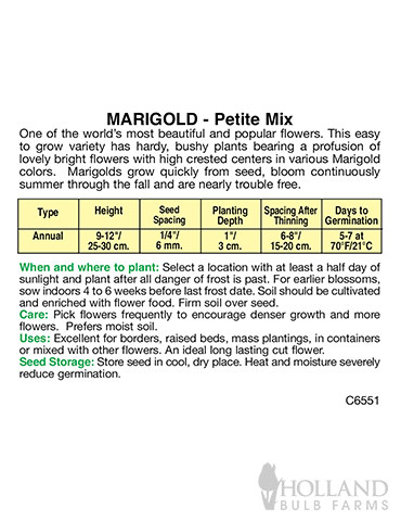 Marigold Petite Mix - 75600