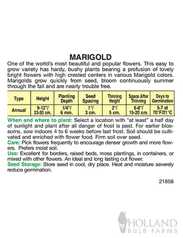 Marigold Tall Crackerjack Mix - 75617